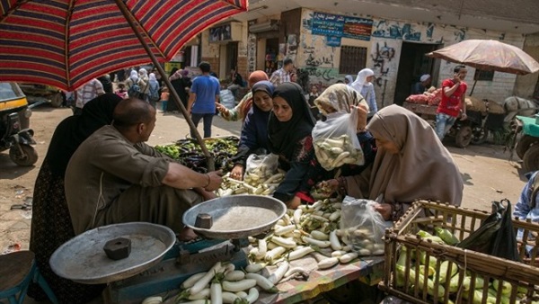 برلماني: الحكومة لا تمتلك الأجهزة الكافية لمراقبة الأسعار