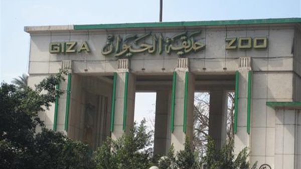 «حدائق الحيوانات »: توافد زوار الحدائق بشكل طبيعي منذ صباح اليوم «حدائق الحيوانات »: توافد زوار الحدائق بشكل طبيعي منذ صباح اليوم