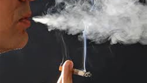 لأول مرة: تقدير عدد الخلايا التي يدمرها تدخين علبة سجائر لأول مرة: تقدير عدد الخلايا التي يدمرها تدخين علبة سجائر