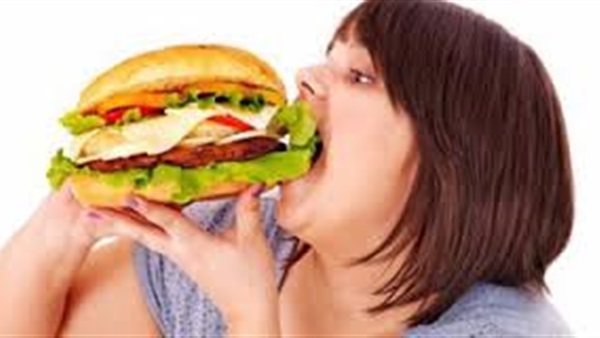 دراسة: الأطعمة الدهنية تعوق تطور أدمغة الأطفال وتسبب الزهايمر