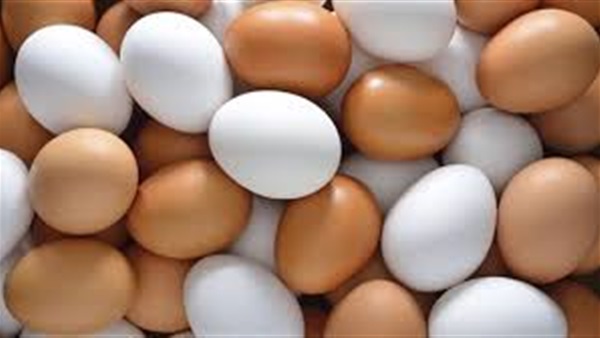 ما الفرق بين البيض البني والأبيض؟ ما الفرق بين البيض البني والأبيض؟
