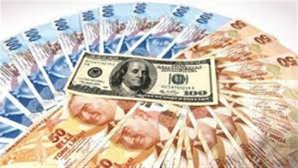 الليرة التركية تسجل انخفاضا تاريخيا أمام الدولار الأمريكي