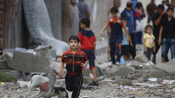 في يومهم العالمي.. أطفال غزة يكافحون لكسب قوتهم (تقرير)