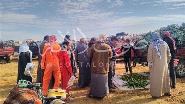 رئيس «الواحات البحرية» يتفقد سوق «الباويطي» (صور) رئيس «الواحات البحرية» يتفقد سوق «الباويطي» (صور)