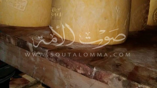 ضبط مصنع «جبنة» غير مرخص في حملة ببورسعيد 