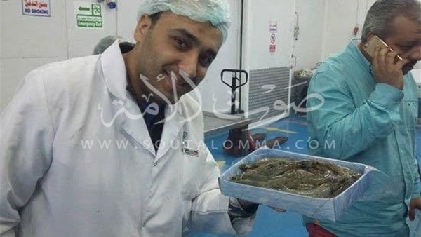 ننشرحصاد الجمبري الأبيض من مزارع شرق بورسعيد ننشرحصاد الجمبري الأبيض من مزارع شرق بورسعيد