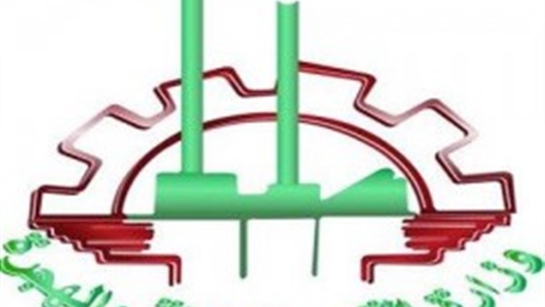 «القوى العاملة»: توفير 100 فرصة عمل بالقطاع الخاص في دمياط