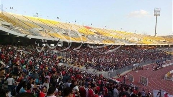 جماهير برج العرب تساند المنتخب بـ«الفوفازيلا» جماهير برج العرب تساند المنتخب بـ«الفوفازيلا»