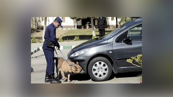 فحص 13 سيارة «متروكة» بشوارع وميادين المنوفية 