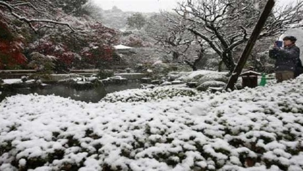 طوكيو تشهد أول تساقط للثلوج منذ 54 عامًا
