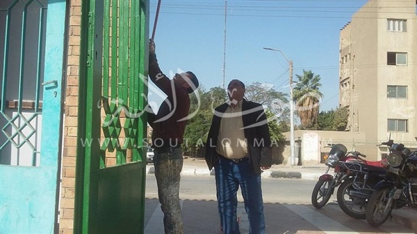 تجميل حديقة «سعيد النجار» في بني سويف (صور) تجميل حديقة «سعيد النجار» في بني سويف (صور)