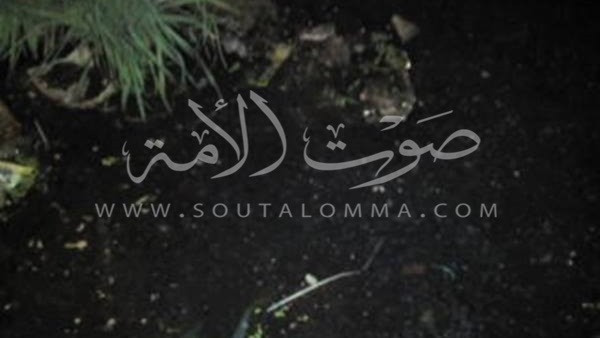 «توشكى».. حيث تسكن الديدان مياه الشرب (فيديو وصور) «توشكى».. حيث تسكن الديدان مياه الشرب (فيديو وصور)