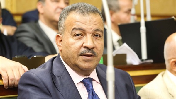 «المعماري»: أعمال لجنة تقصي حقائق الأدوية «سرية»