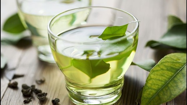 تعديل النباتات جينيا لتحمي نفسها من أشعة الشمس تعديل النباتات جينيا لتحمي نفسها من أشعة الشمس