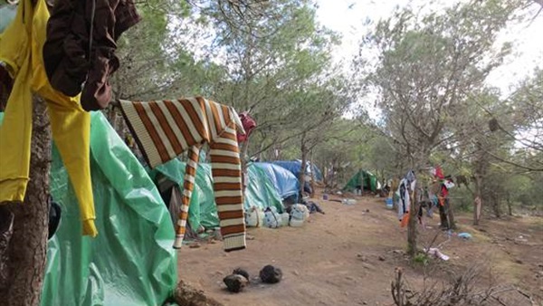 السلطات اليونانية تعثر على 70 مهاجرا في غابة شمال البلاد
