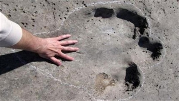 العثور على أثر ضخم لقدم ديناصور في منغوليا