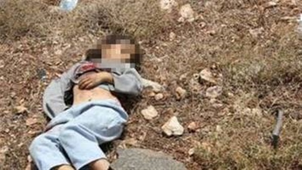مصرع طفلة بأشمون إثر سقوطها من أعلي سطح المنزل مصرع طفلة بأشمون إثر سقوطها من أعلي سطح المنزل