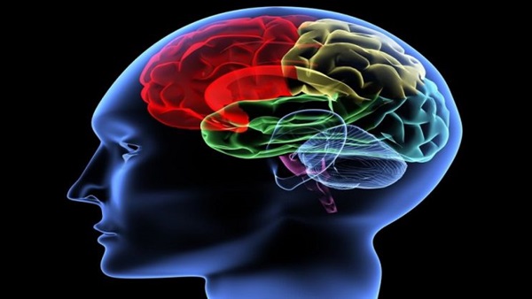 دراسة : 11% من الناجين من السكتة الدماغية قد يعانون من نوبات صرع