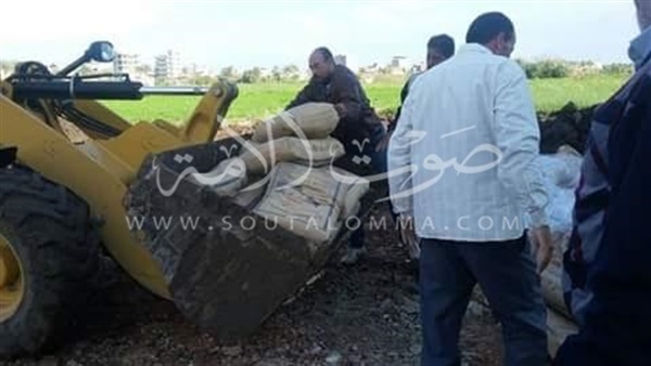 دمياط: حملة مكبرة لرفع التعديات على الأراضى الزراعية (صور) دمياط: حملة مكبرة لرفع التعديات على الأراضى الزراعية (صور)