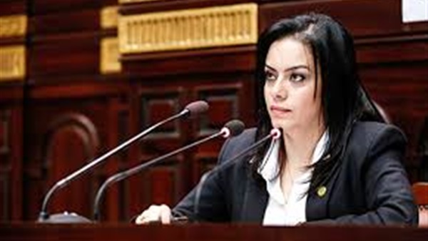 برلمانية تطالب الحكومة بمواجهة التهرب الضريبي برلمانية تطالب الحكومة بمواجهة التهرب الضريبي