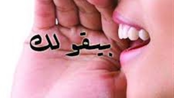 «بيقولك».. احذر توقف على الطريق الزراعي قبل طوخ «بيقولك».. احذر توقف على الطريق الزراعي قبل طوخ