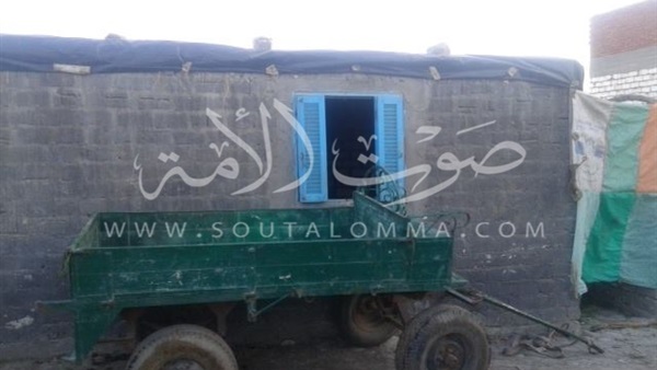 «الهلباوي»..حياة بدائية في قرية مهجورة (صور)