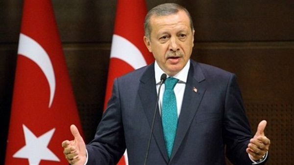 أردوغان يدعو الأتراك إلى زيادة بيع النقد الأجنبي لشراء الليرة