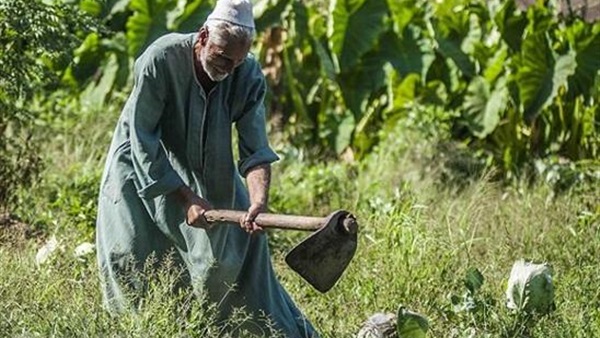 تطبيق نظام كارت الفلاح الذكي في دمياط 