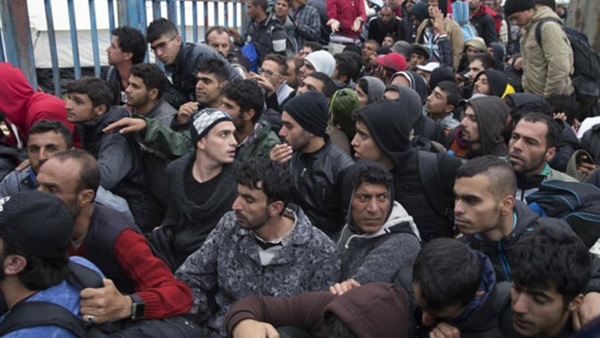 ألمانيا ترحل 50 أفغانيًا رفضت طلبات لجوئهم