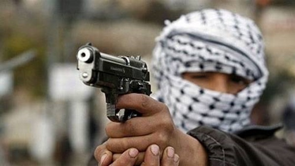 مصرع أحد العناصر الإجرامية في تبادل لإطلاق النار مع الشرطة بالمنوفية مصرع أحد العناصر الإجرامية في تبادل لإطلاق النار مع الشرطة بالمنوفية