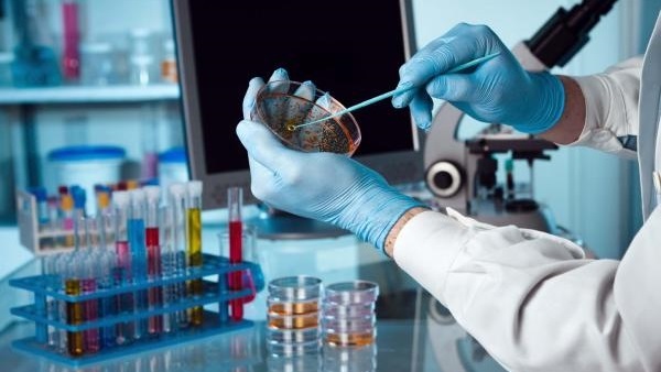 دراسة: السرطان لن يقتل من هم دون سن الـ80 بحلول 2050