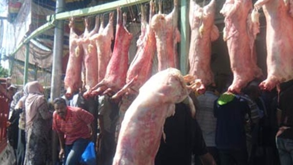 ضبط 5800 كيلو كبدة فاسدة داخل منفذ بيع لحوم بالإسكندرية ضبط 5800 كيلو كبدة فاسدة داخل منفذ بيع لحوم بالإسكندرية