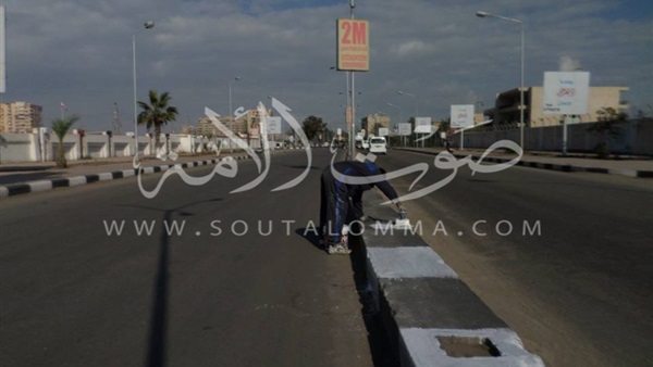 «حي الضواحي» يجمل المدخل الجنوبي في بورسعيد «حي الضواحي» يجمل المدخل الجنوبي في بورسعيد