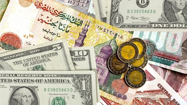 تحرير سعر الجنيه.. أبرز مكاسب القطاع المصرفي خلال 2016