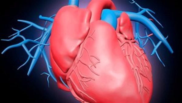 دراسة: الماغنيسيوم البحري يقي من أمراض القلب