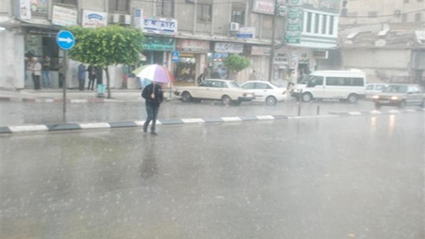 كفر الشيخ تتعرض لأمطار خفيفة وموجة من الصقيع والرياح كفر الشيخ تتعرض لأمطار خفيفة وموجة من الصقيع والرياح