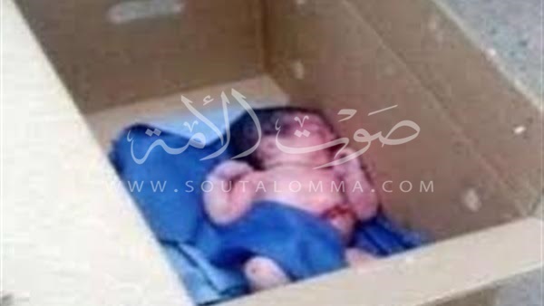 العثور على رضيعة تخلت عنها والدتها في الدقهلية