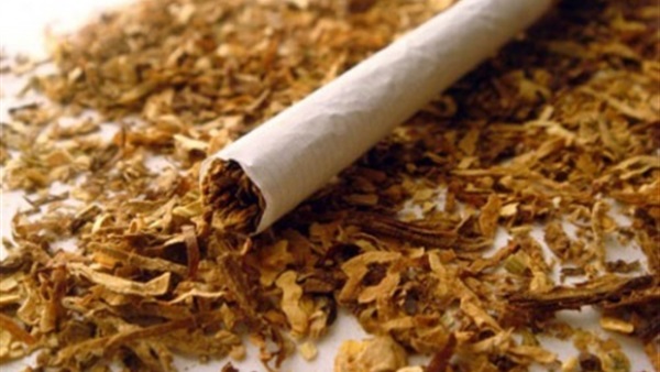 ضبط مصنع يخلط تبغ السجائر بنشارة الخشب في بني سويف‎ 
