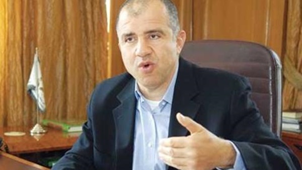 «السويدي»: ليس كل ما يقال عن الأزمة الاقتصادية حقيقيا «السويدي»: ليس كل ما يقال عن الأزمة الاقتصادية حقيقيا