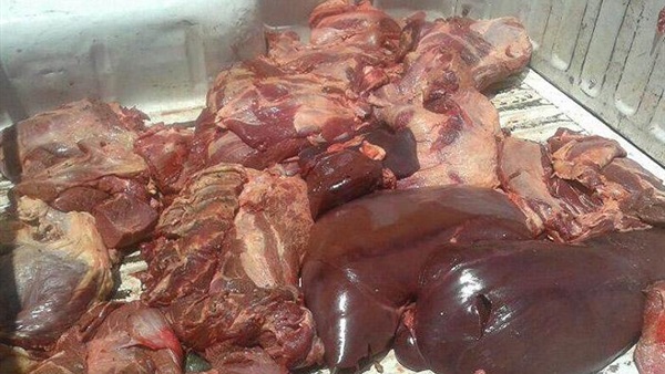 ضبط لحوم فاسدة اخل ثلاجة أغذية بالسلام ضبط لحوم فاسدة اخل ثلاجة أغذية بالسلام