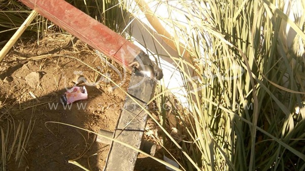 بالصور: الإعلامية دنا عبد الله تتسلم تكريمها ب"شكرا السعودية"