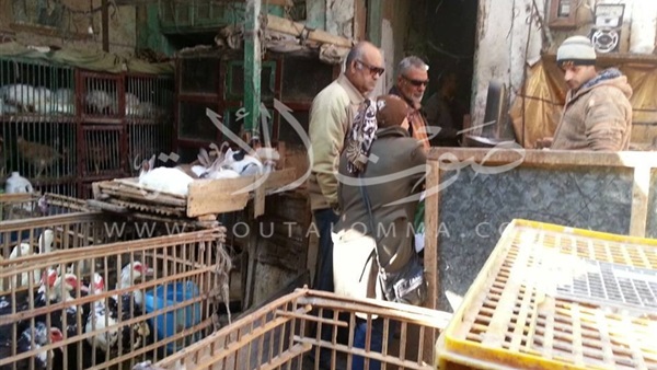 «مخاطر أنفلونزا الطيور».. حملة توعية بأسواق عرب بورسعيد «مخاطر أنفلونزا الطيور».. حملة توعية بأسواق عرب بورسعيد