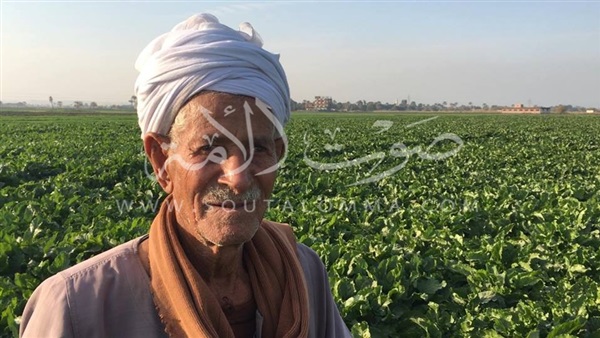 مزارعو البنجر: «الحكومة باعتنا للمصانع» 