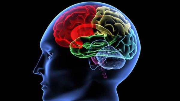 وصفة سحرية تساعد على تنشيط المخ 