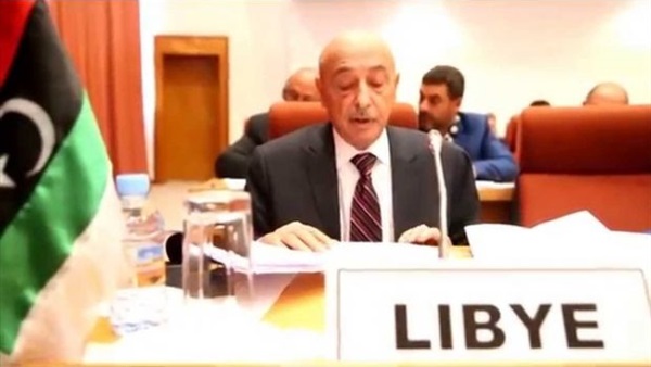 البرلمان الليبي يعزي الإمارات في استشهاد 5 مواطنين بأفغانستان