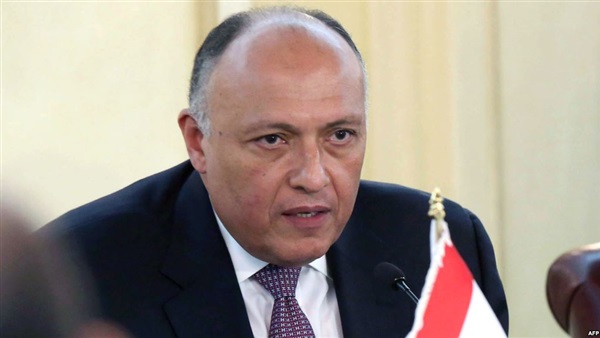 وزير الخارجية يلتقي نائبة رئيس البرلمان الألماني وزير الخارجية يلتقي نائبة رئيس البرلمان الألماني