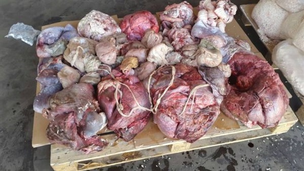 ضبط 400 كيلو لحوم منتهية الصلاحية في أبو النمرس ضبط 400 كيلو لحوم منتهية الصلاحية في أبو النمرس