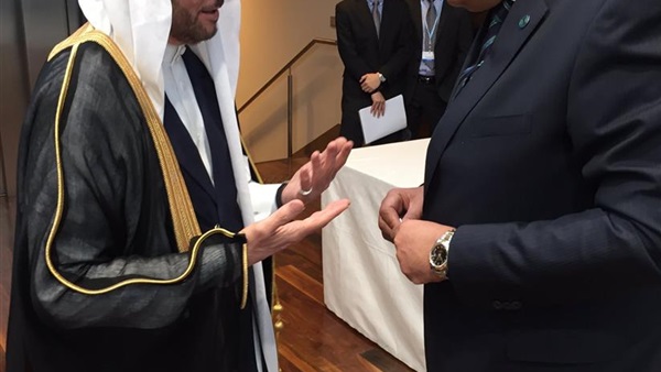 «شكري» يلتقي أمين عام «التعاون الإسلامي» على هامش مؤتمر باريس للسلام