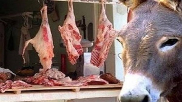 «بيطري الجيزة» تضبط لحوم حمير داخل مطعم «حواوشي» «بيطري الجيزة» تضبط لحوم حمير داخل مطعم «حواوشي»