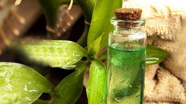 بالصور..اشرف عبد الباقى : لم أتاجر باحمد حلمى والسقا فى  " مسرح مصر " 